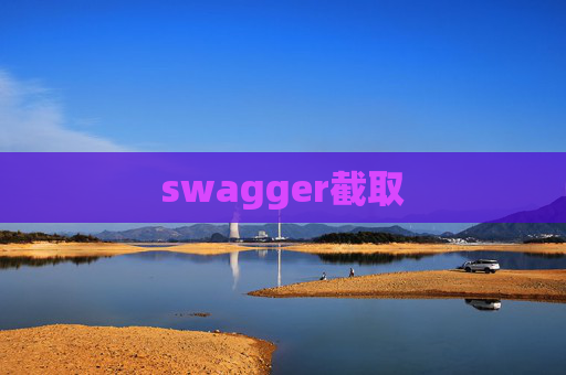 swagger截取